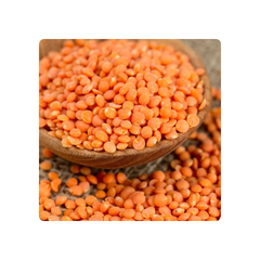 Wholesale Price Canadian Red Lentils / Split Red Lentils Available for Sale at Low Price, Fresh Red Lentil for Europe Bulk - Image 6