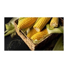 Industrial Ethanol Brazil frozenchickenexports.com - Image 1