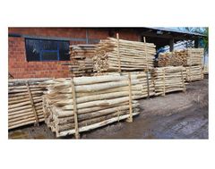Pressure Treated Acacia Poles – Garden & Landscaping Use - Image 4
