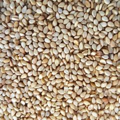 Sesame seed – product photo 1, product detail gallery