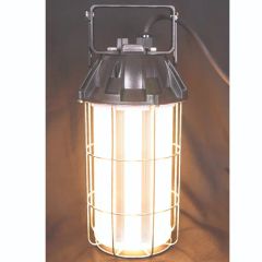 Explosion-Proof Lights LED Work Light Portable Bulb Temporary Highbay Lamp - Image 4