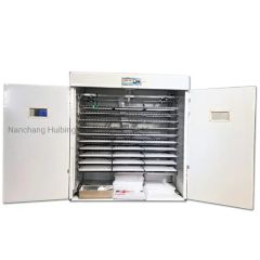 Manufacturing Automatic Poultry Quail Egg Incubator and Hatcher - Image 3