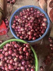PREMIUM INDIAN ONION - Image 4