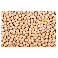 Wholesale Supplier of Natural Quality Organic Dried Chickpeas Bulk Quantity Ready For Export - Image 3