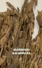 Agarwood Chips, Agarwood Oil Kalimantan - Image 2