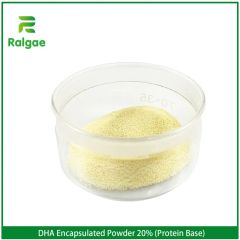 Encapsulated Powder DHA Milk Powder for Nutrition Supplement DHA 20% - Image 6