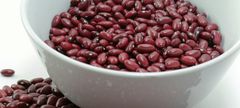 Premium Fresh Harvest 2024 Ethiopian Red Kidney Beans, Direct from Farm, Wholesale, Top Quality Bulk Quantity – product photo 2, product detail gallery