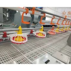Poultry Farming Automatic Feeder Pan System for Broiler Origin China Model NO. MH Condition New Certificate CE Warranty 1 - Image 2