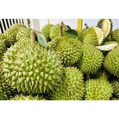 Good Price Frozen Whole Durian from Vietnam So Fresh Premium Quality Musang King/ Ri6/ Monthong Durian Fruit – product photo 2, product detail gallery