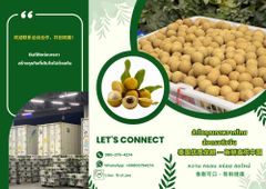 fresh longan thailand Texture Crunchy Weight (kg) 12.5 KG. Flavor Sweet And Delicious Packaging Details White Plastic Baskets - Image 4