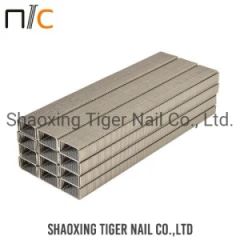 Office Staple of 266 Series for Stapler - Shaoxing Tiger Nail Co., Ltd.