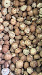 Betel nuts - Image 3
