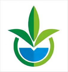 G and N Fortune Limited