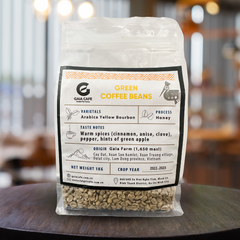 ARABICA YELLOW BOURBON GREEN BEANS HONEY Vietnamese Arabica Green Coffee Beans with 98% Maturity in New Crop 2023-2024 – product photo 2, product detail gallery
