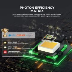 Full Spectrum LED Grow Light 1000W for Thriving Indoor Plant Growth - Image 4