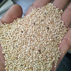 Sesame seeds - Image 1