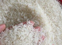 Jasmine Rice / Long Grain RiceFragrant 5% Broken - Perfurm Rice -riz- Arroz White Rice WHATSAP 0084 989 322 607 – product photo 2, product detail gallery