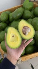 Farm Fresh Avocado Ripe Green Fruit With Smooth Texture And Delicious Flavor For Healthy Eating And Kitchen Preparation - Image 3