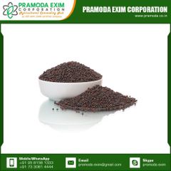 High Grade Natural Black Mustard Single Spices & Herbs From Indian Manufacturer - Image 3