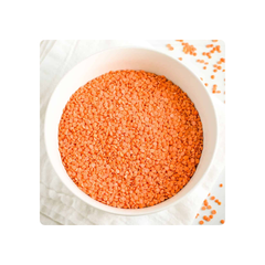 Wholesale Price Canadian Red Lentils / Split Red Lentils Available for Sale at Low Price, Fresh Red Lentil for Europe Bulk - Image 2
