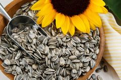 sunflower  seeds - Image 2