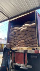 coffe beans - Image 3