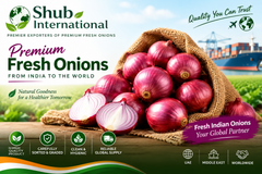 Onion – product photo 1, product detail gallery