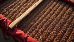 Company – thumbnail 3 of 5, supplier detail gallery