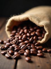Company – thumbnail 1 of 5, supplier detail gallery