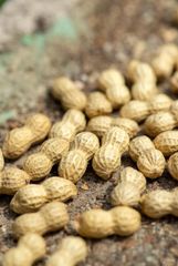 groundnuts (HS 1202), cashew nuts - Image 1