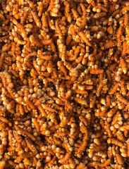 Turmeric - Image 1