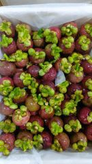 Fresh Mangosteen – product photo 6, product detail gallery