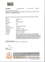 SGS certificate from Gaoyao Henslon Hardware Factory