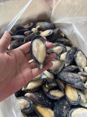 High Quality Import Shellfish Mussels Blue Mussels Meat Frozen Half Shell Mussel - Image 3