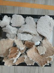 White copra cake - Image 1