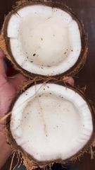 Semi Husked Coconut - Image 6