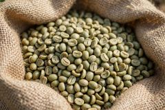Robusta Coffee Beans Bulk Wholesale Consistent Supply | Top Quality Robusta Coffee - Image 3