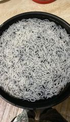 Basmati Rice