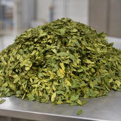 Turkish Dried Bay Leaves (Laurus nobilis L.) — Semi Select & FAQ Pressed Bale - Image 3