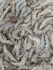 Raw Shrimp - Image 1