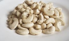 Vietnam Product Made in Vietnam Good for Health Cashew Nuts WW240 – product photo 3, product detail gallery