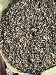 Green Coffee – product photo 1, product detail gallery