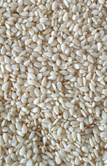 Natural White Sesame Seeds for Export – Nigerian Origin, Food Grade , Natural White Sesame Seeds for Export – Nigerian Origin, Food Grade - Image 1