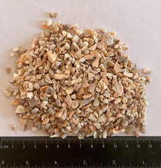 Rapan Venosa Shell Mulch Shelf Life Unlimited Digestibility Highly Digestible Calcium Content 350 To 400 Grams Per - Image 4
