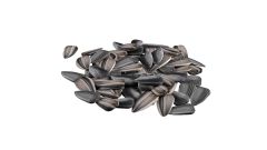SUNFLOWER SEED - Image 2