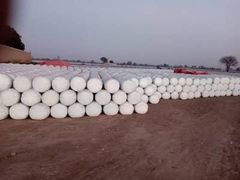 Corn Silage – product photo 4, product detail gallery