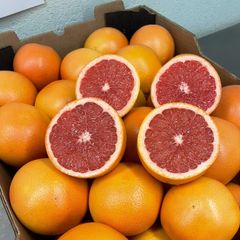 FRESH CLASS 1 EXPORT QUALITY GRAPEFRUITS FOR EXPORT!! New Crops Ready for Export Internationally - Image 1