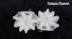 FROZEN OCTOPUS WHOLE CLEANED BEST PRICE EXPORT - Image 1