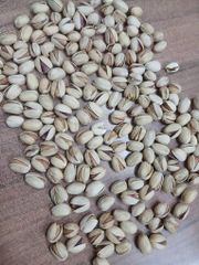 Pistachio - Image 1