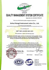 QUALITY MANAGEMENT SYSTEM CERTIFICATE certificate from Anhui Hongji Instruments & Valves Manufacturing Co., Ltd.